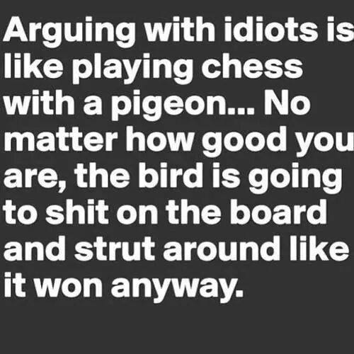 Arguing with idiots is like playing chess with